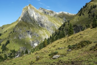 Himmelhorn, Oytal, near Oberstdorf, Oberallgäu, Allgäu, Bavaria, Germany