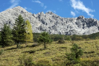 Großer Wilder, Oytal, near Oberstdorf, Oberallgäu, Allgäu, Bavaria, Germany