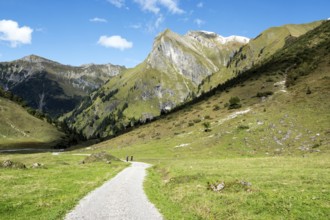 Driveway, hiking trail to Käser Alpe, behind Himmelhorn, Oytal, near Oberstdorf, Oberallgäu,