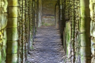 Modern-day neolithic style long Barrow burial chamber for storing cremation urns, All Cannings,