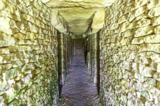Modern-day neolithic style long Barrow burial chamber for storing cremation urns, All Cannings,