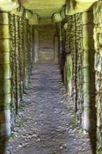 Modern-day neolithic style long Barrow burial chamber for storing cremation urns, All Cannings,