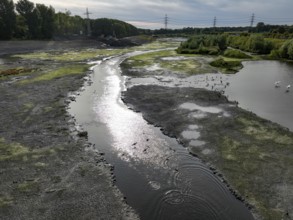 Dortmund, Castrop-Rauxel, North Rhine-Westphalia, Germany - River renaturalisation, renaturation of
