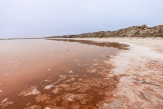 Pink salt flats with mineral-rich water in Sandwich Harbour, Namib-Naukluft National Park, Namibia.