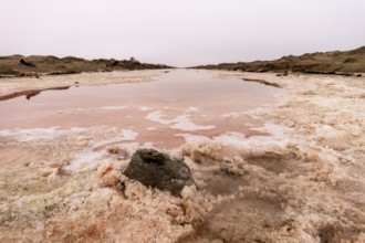 Pink salt flats with mineral-rich water in Sandwich Harbour, Namib-Naukluft National Park, Namibia.