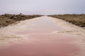 Pink salt flats with mineral-rich water in Sandwich Harbour, Namib-Naukluft National Park, Namibia.