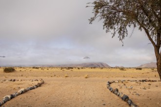Sossusvlei, Namibia – A surreal landscape of dunes and resilient desert plants