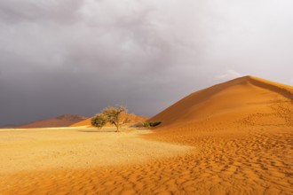 Big Daddy Dune & Deadvlei, Namibia – Towering red dune above Deadvlei's ancient dead camelthorn