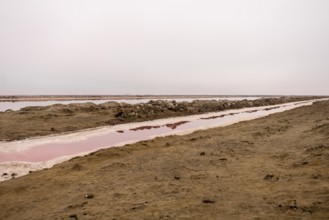 Pink salt flats with mineral-rich water in Sandwich Harbour, Namib-Naukluft National Park, Namibia.
