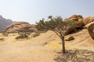 Granite peaks and rugged desert landscape at Spitzkoppe Community Campsite, Namibia. Golden