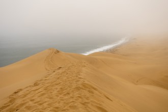 Golden dunes and the Atlantic Ocean near Namib-Naukluft Park, Namibia. A lagoon and shoreline fade