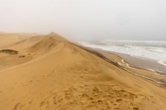 Golden dunes and the Atlantic Ocean near Namib-Naukluft Park, Namibia. A lagoon and shoreline fade