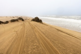 Golden dunes and the Atlantic Ocean near Namib-Naukluft Park, Namibia. A lagoon and shoreline fade