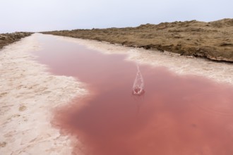 Pink salt flats with mineral-rich water in Sandwich Harbour, Namib-Naukluft National Park, Namibia.