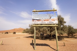 The Deadvlei sign, Namibia - 27 August, 2025: explains the history of the clay pan, how its ancient