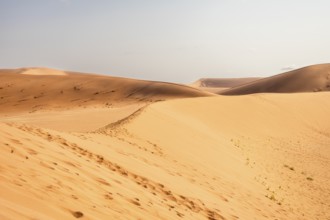 Sossusvlei in Namibia is a desert wonder, famous for its giant red dunes, glowing at sunrise and