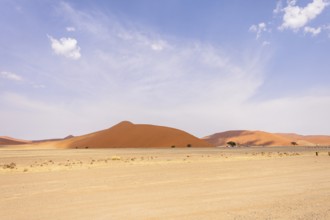 Sossusvlei in Namibia is a desert wonder, famous for its giant red dunes, glowing at sunrise and