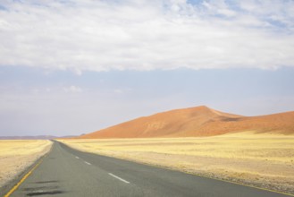 Inside Sossusvlei, gravel roads wind through red dunes to Deadvlei, Big Daddy, and Sesriem Canyon,