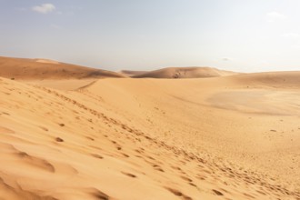Sossusvlei in Namibia is a desert wonder, famous for its giant red dunes, glowing at sunrise and