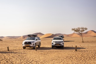 Sossusvlei, Namibia - 27 August, 2025: tracks wind through the vast red dunes, leading explorers