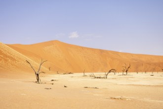 Big Daddy Dune & Deadvlei, Namibia – Towering red dune above Deadvlei's ancient dead camelthorn