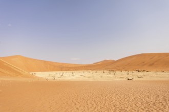 Big Daddy Dune & Deadvlei, Namibia – Towering red dune above Deadvlei's ancient dead camelthorn