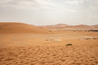 Sossusvlei in Namibia is a desert wonder, famous for its giant red dunes, glowing at sunrise and