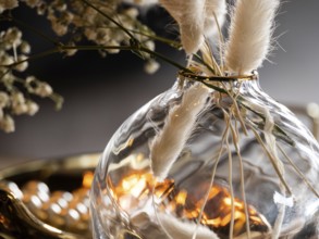 Vase, mood, decoration, plants, modern, gold, dried, art deco, warm, winter, colours, illustration,