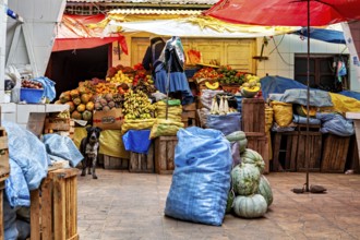 A colourful marketplace full of fruit and vegetables with a dog standing between wooden crates,
