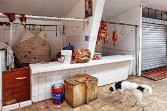 A dog walks past a table of raw meat and closed stalls, The meat market in the market halls of