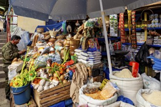 A lively market stall full of fresh vegetables, fruit and spices under a large umbrella, Extensive