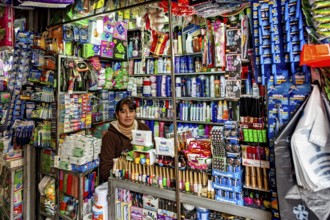 A kiosk with a saleswoman behind the counter, surrounded by a colourful variety of household goods,