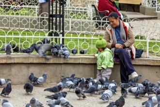 A woman sits with a child in a park, surrounded by many pigeons. There is a calm, everyday