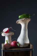 oyster mushrooms with radishes and chillies on a wooden crate against a dark background