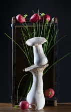oyster mushrooms with radishes and chives on a wooden crate against a dark background