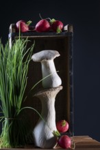 oyster mushrooms with radishes and chives in a wooden crate against a dark background