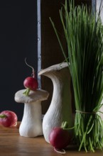 oyster mushrooms with radishes and chives in front of a wooden crate with a dark background