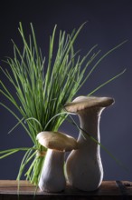 oyster mushrooms with chives against a dark background