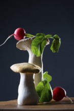 Lateral shoots with radishes against a dark background
