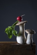 oyster mushrooms with radishes against a dark background