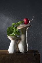 oyster mushrooms with radishes on wooden box, with water droplets