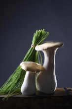 oyster mushrooms with chives against a dark background