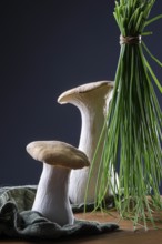 oyster mushrooms with chives against a dark background