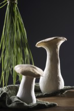 oyster mushrooms with chives against a dark background