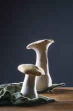 oyster mushrooms on kitchen towel against a dark background