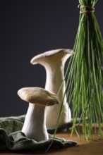 oyster mushrooms with chives against a dark background