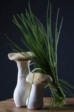 oyster mushrooms with chives against a dark background