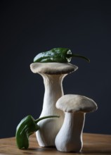 oyster mushrooms with chillies against a dark background