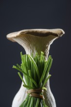 Seitling with chives against a dark background