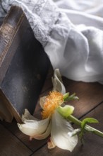 Still life of an old book with lace cover and faded peony